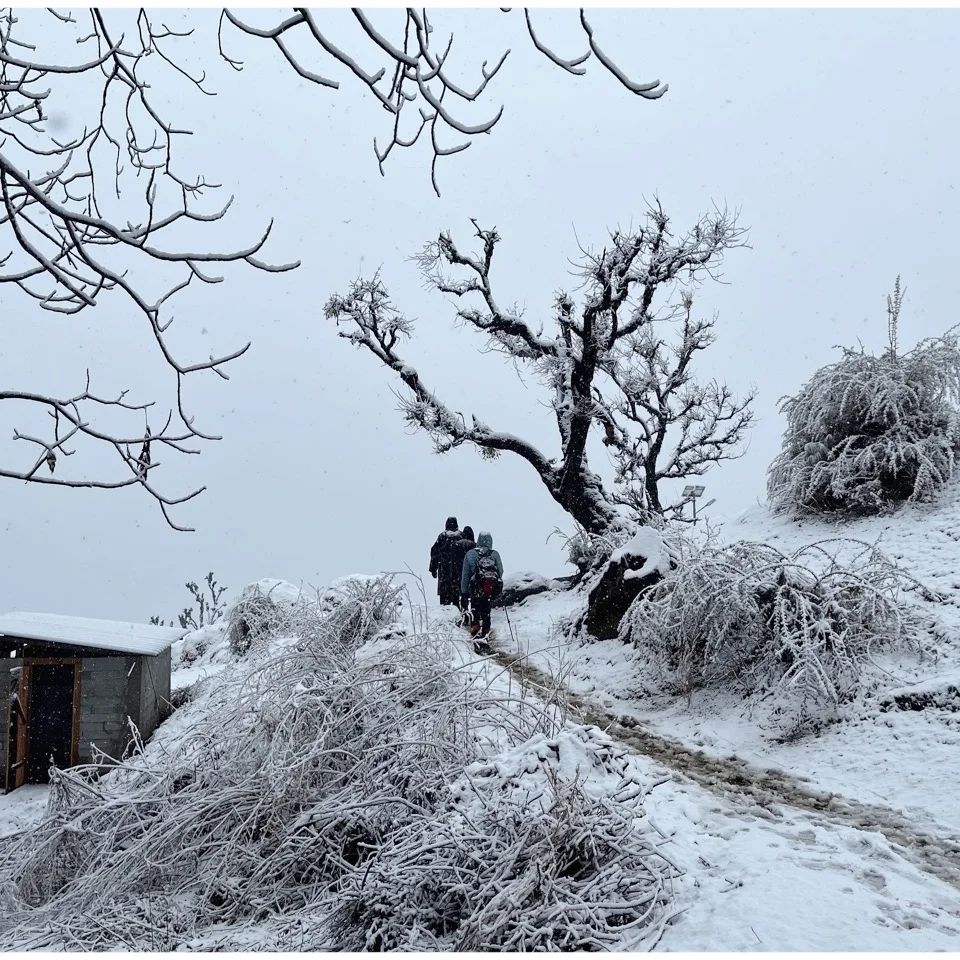 Snow covered Kedarkanth Trek