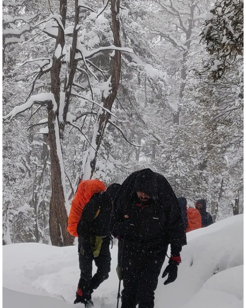 Our team hiking through trek's steep forest trails under snowfall